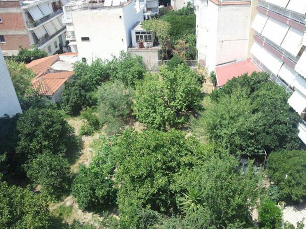 Foivos Loutra Edipsou (Evia) Quarto foto